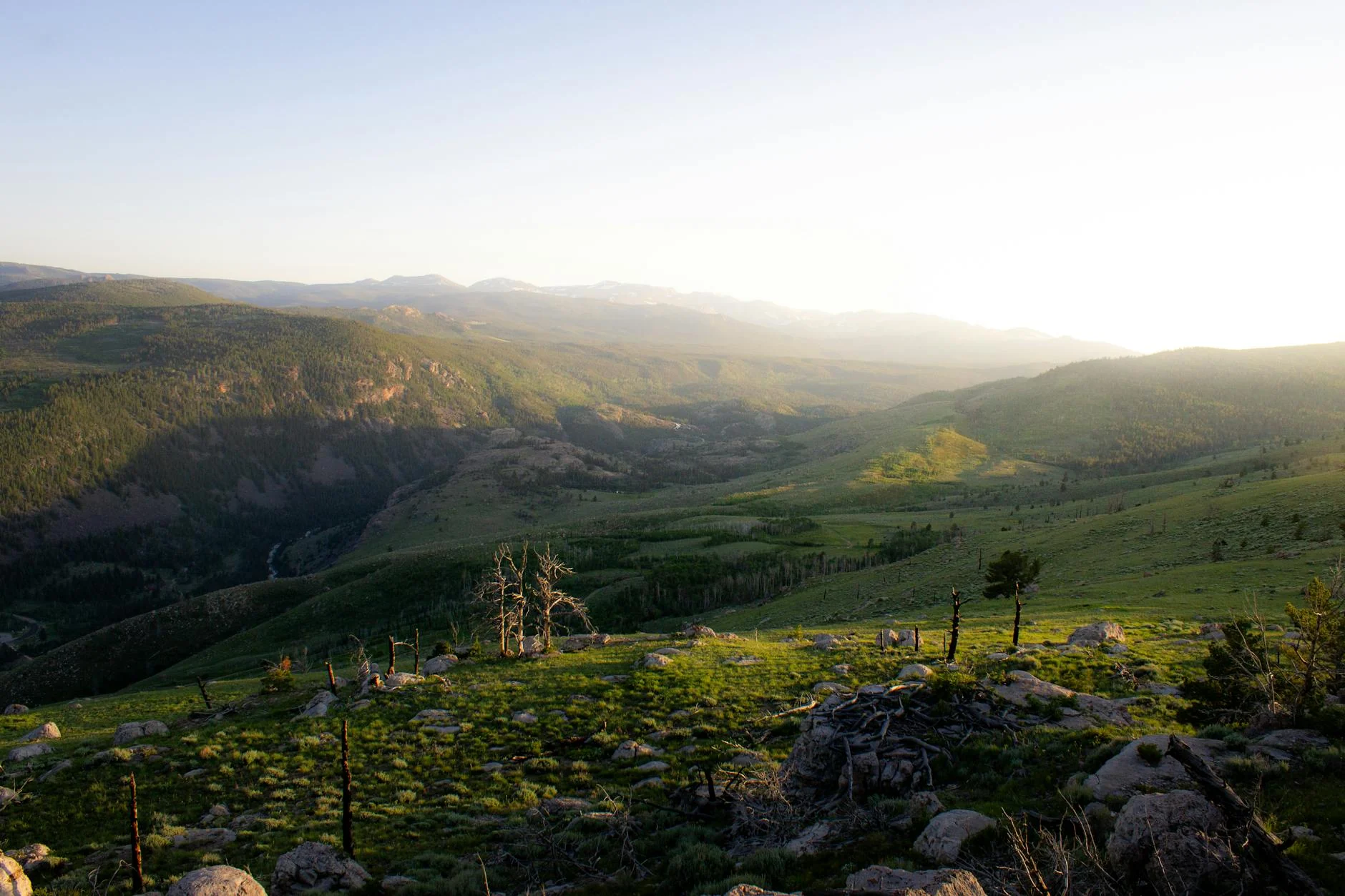 A Wyoming landscape of forested foothills and distant mountains at sunrise